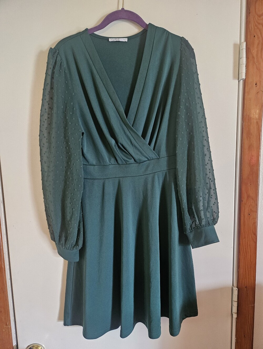 Dokuritu Green Dress Women Crew Neck Long Sleeve Mesh Large